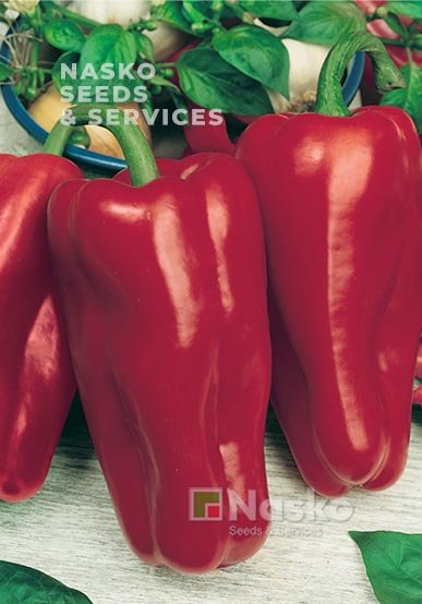 Перець солодкий АТЛАНТ