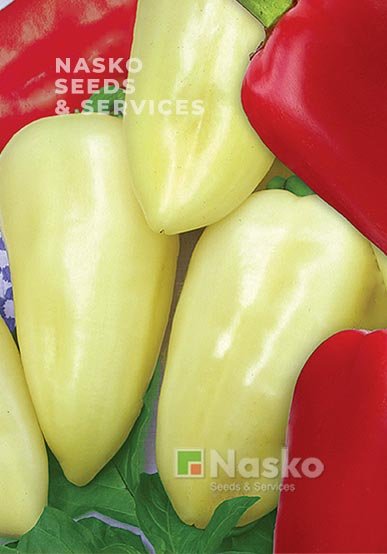 Перець солодкий АЙВЕНГО