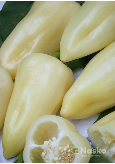 Перець солодкий АЙВЕНГО