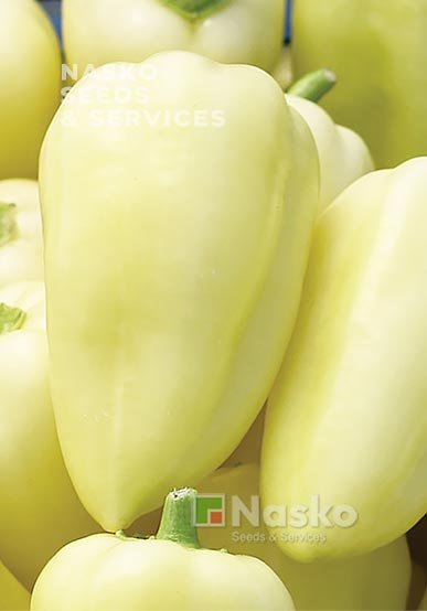 Перець солодкий ДАНАЙ F1