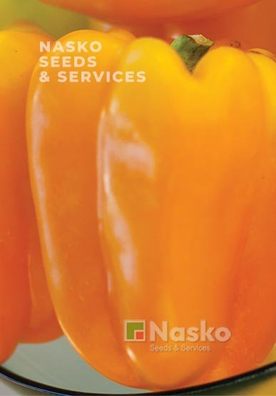 Перець солодкий ЕНЕЙ