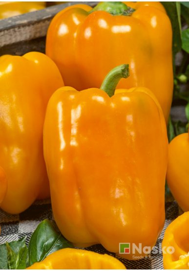 Перець солодкий НАІЛЬ