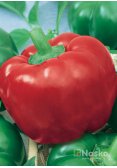 Перець солодкий СУЛТАН
