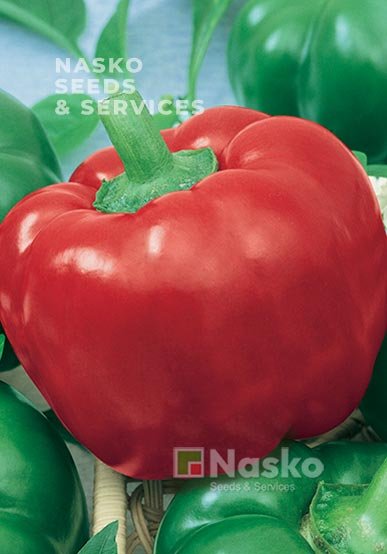 Перець солодкий СУЛТАН