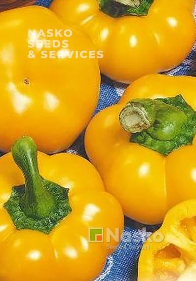 Перець солодкий ЗОЛОТЕ РУНО