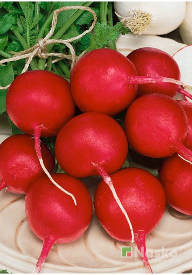 Редиска КАРБОНА