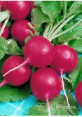 Редиска ЛІНДА