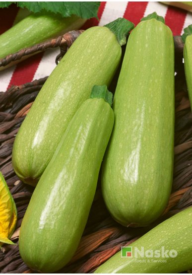 Кабачок ДІНАР F1