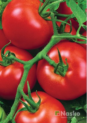 Томат низькорослий	АРФА F1