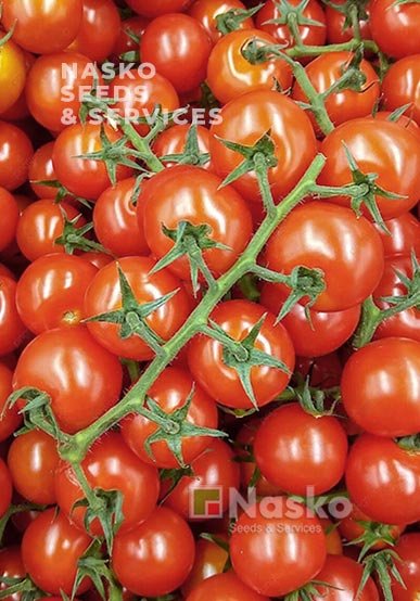 Томат високорослий ГРЕТА F1 (Чері) червоний