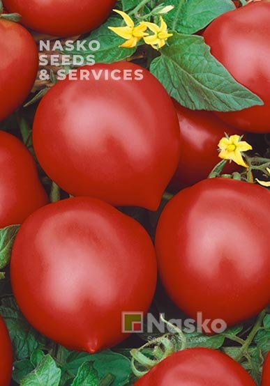 Томат високорослий ІСЛА-ГРАНДЕ F1