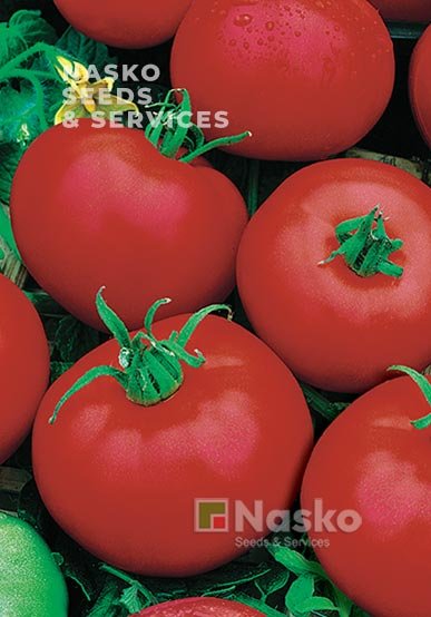 Томат низькорослий ЛІРА F1