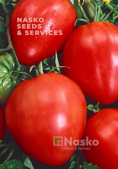 Томат низькорослий СЕВІЛЬЯ F1