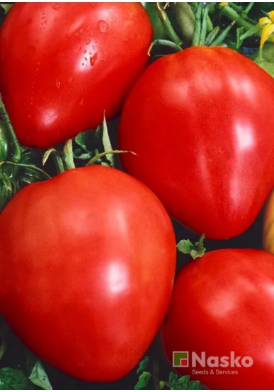 Томат низькорослий СЕВІЛЬЯ F1