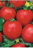 Томат низькорослий ЯНА (промислові томати)