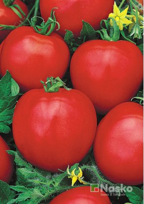 Томат низькорослий	ЯНА