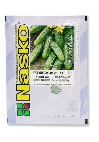 Огірок бджолозапильний ЗУБРЬОНОК F1