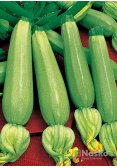 Кабачок САДКО F1